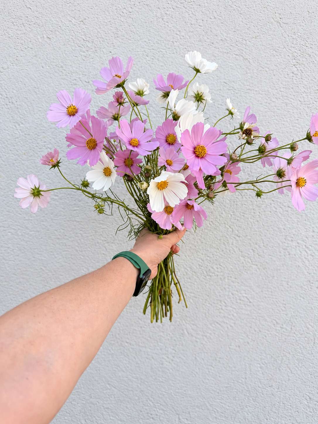 Fall Festival Flowers — Preorder
