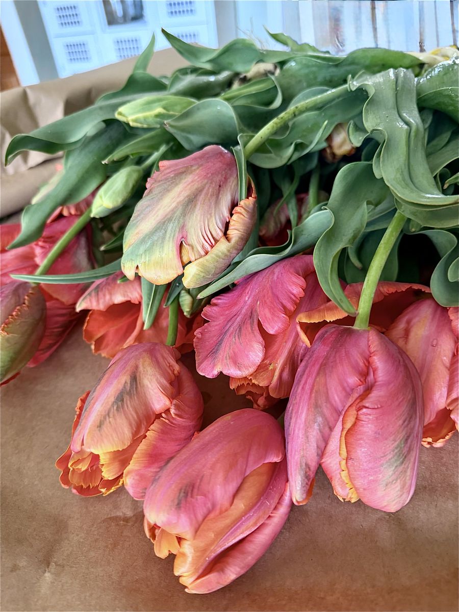 Weekly Bouquet Subscription
